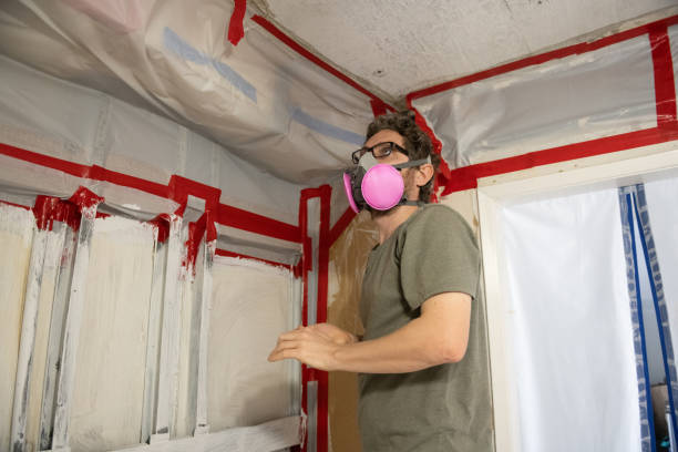 Mold Removal for HVAC Installations in Crestview, FL