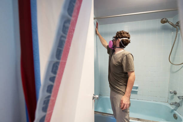 Best Mold Removal for HVAC Installations  in Crestview, FL
