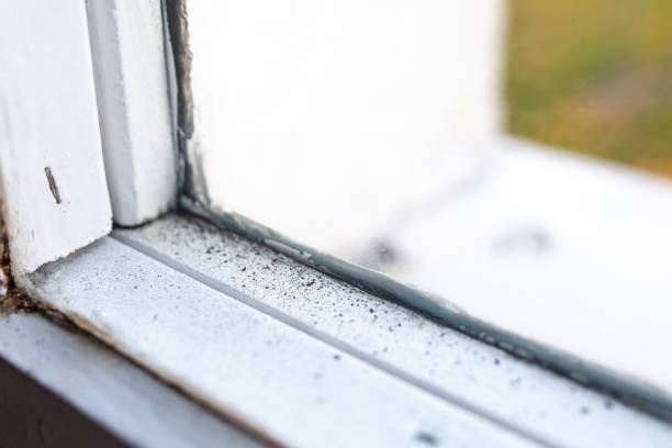 Best Airborne Mold Testing  in Crestview, FL