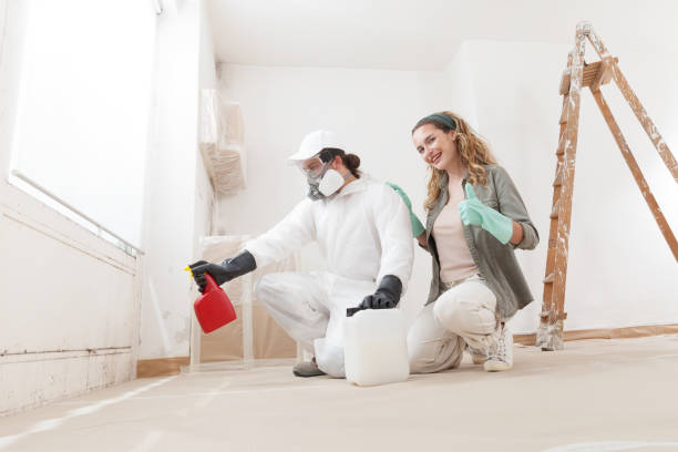 Best Emergency Mold Remediation  in Crestview, FL