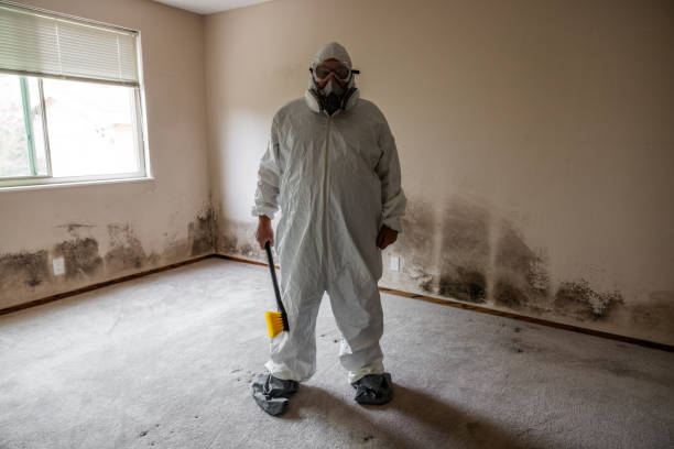 Best Industrial Mold Remediation  in Crestview, FL