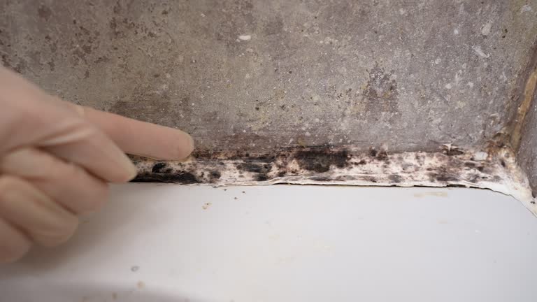 Best Biohazard Mold Removal  in Crestview, FL