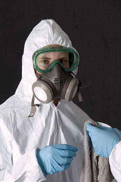 Best Mold Removal for HVAC Installations  in Crestview, FL